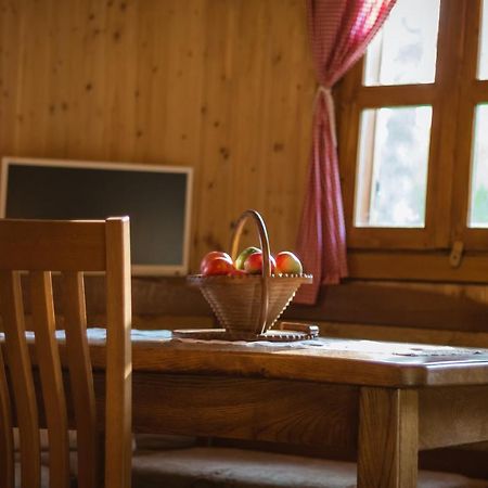 Kuca Za Odmor Cindric Villa Szluin Kültér fotó