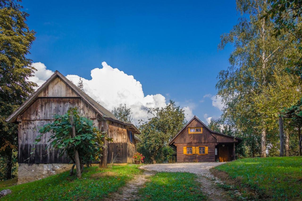 Kuca Za Odmor Cindric Villa Szluin Kültér fotó