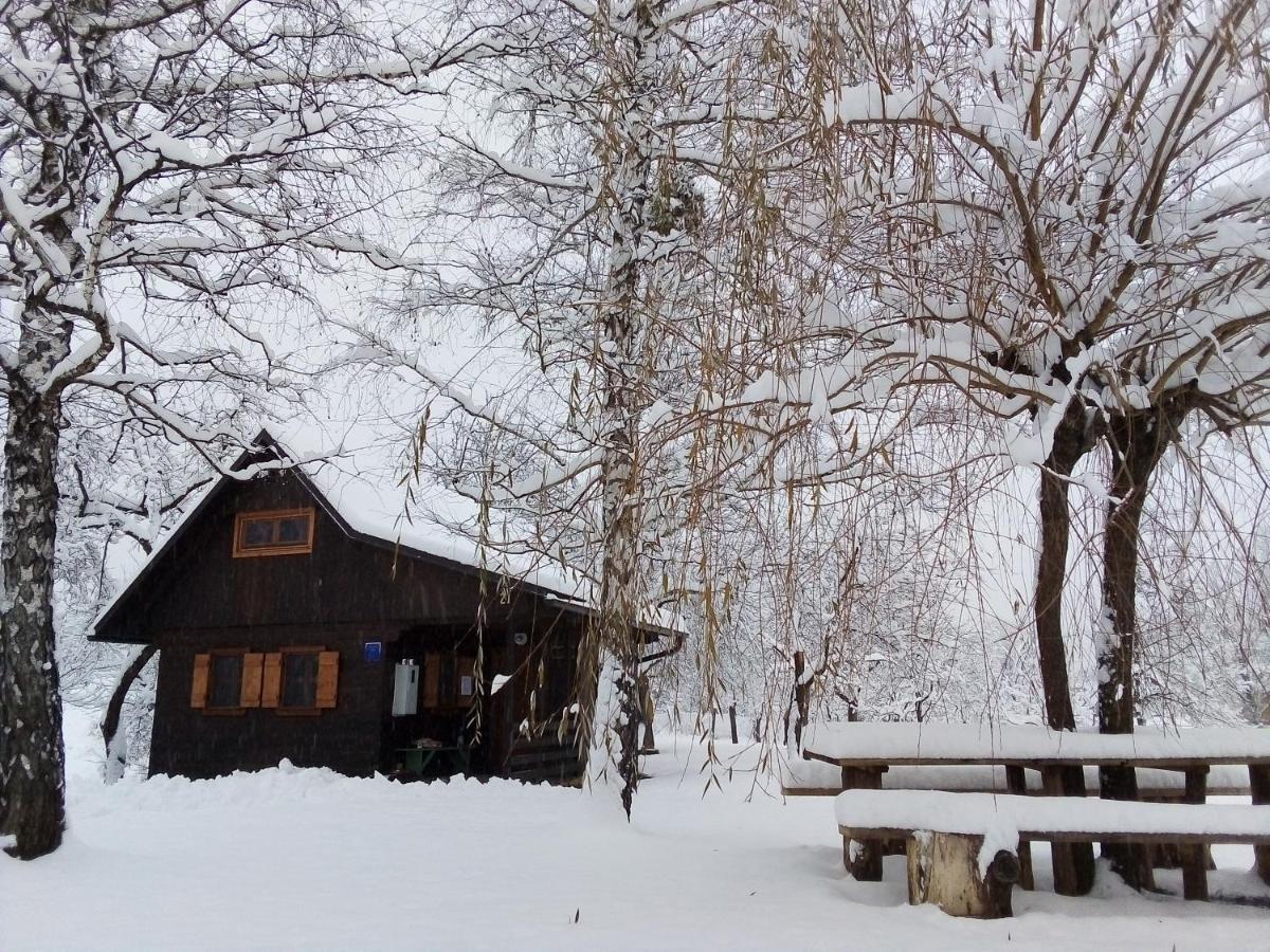 Kuca Za Odmor Cindric Villa Szluin Kültér fotó