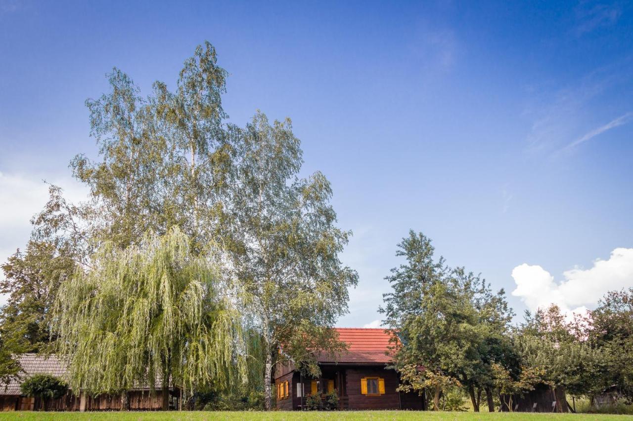 Kuca Za Odmor Cindric Villa Szluin Kültér fotó