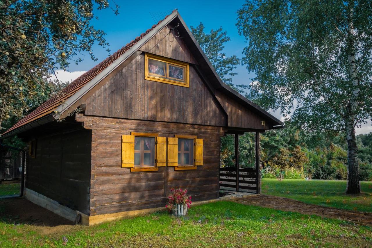 Kuca Za Odmor Cindric Villa Szluin Kültér fotó