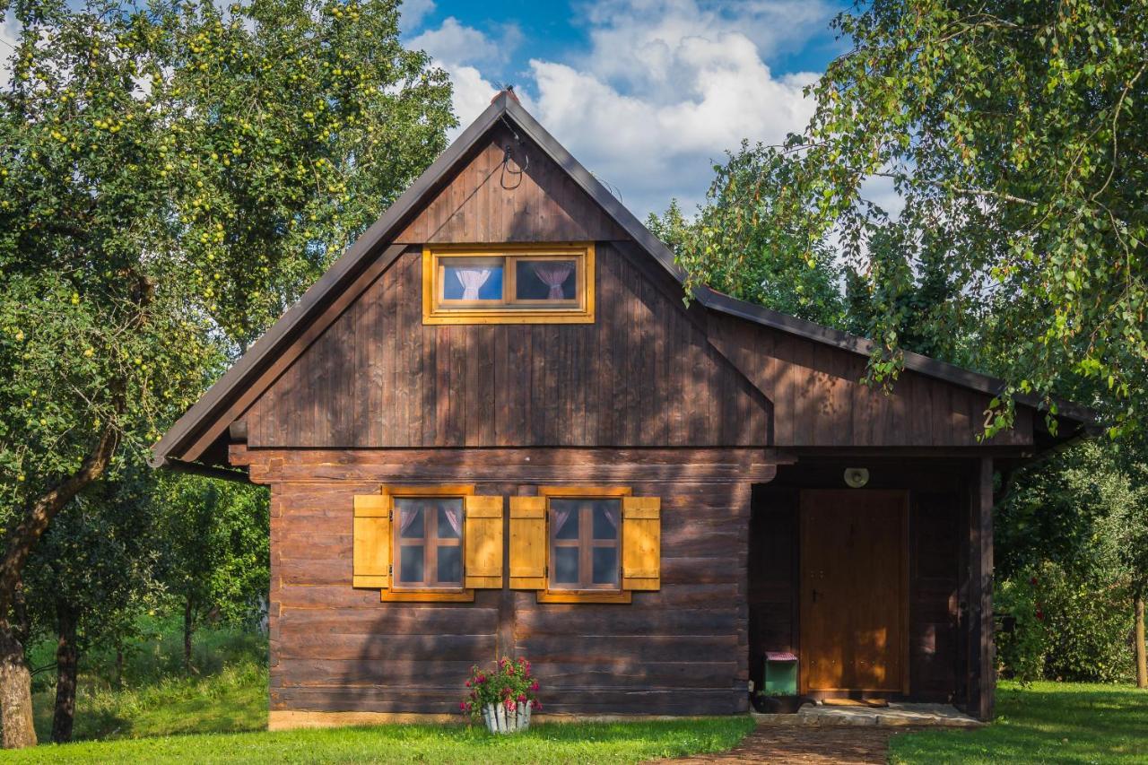 Kuca Za Odmor Cindric Villa Szluin Kültér fotó